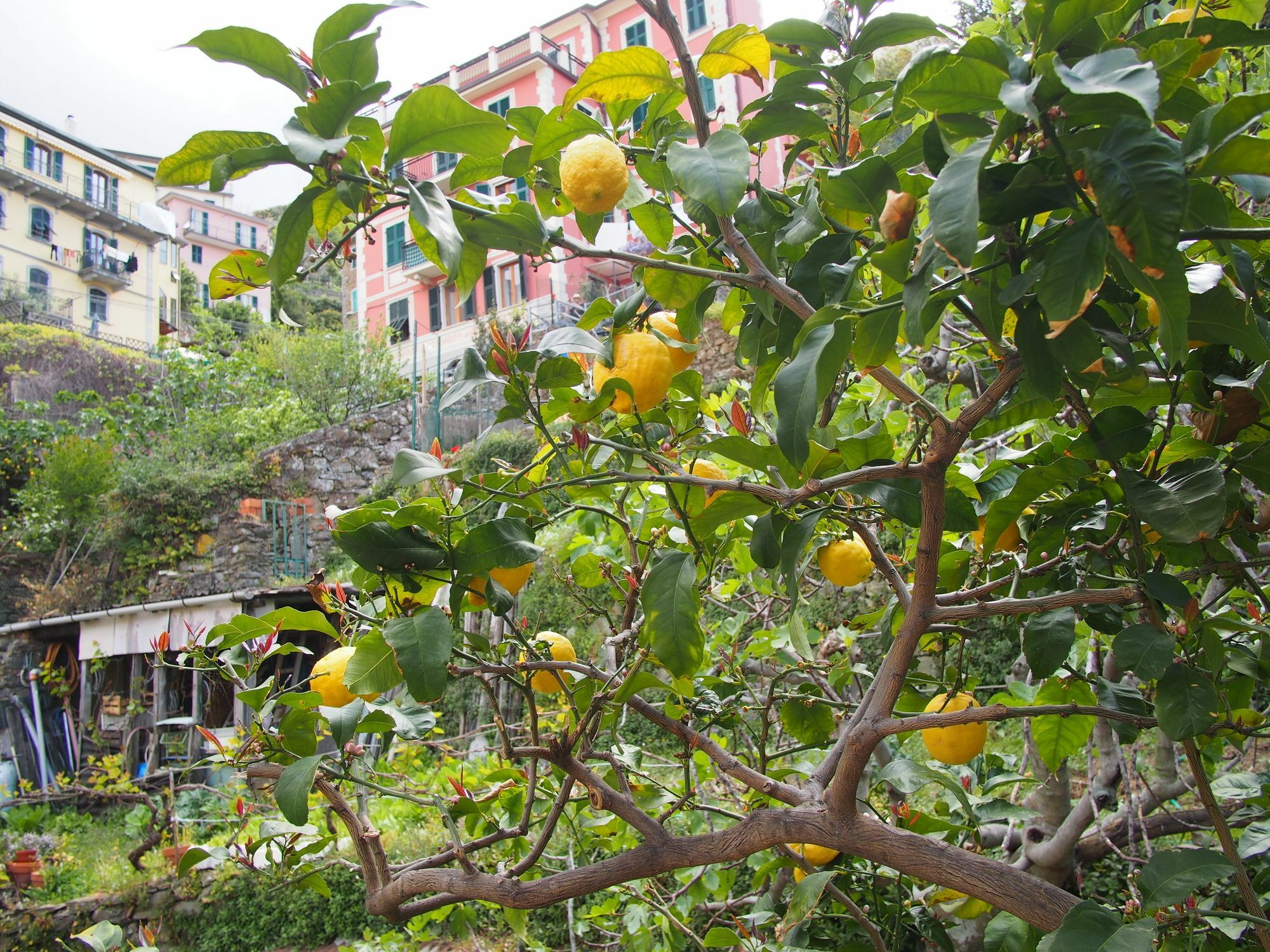 Hotel Ciao Bella Rainbow Riomaggiore Exteriér fotografie
